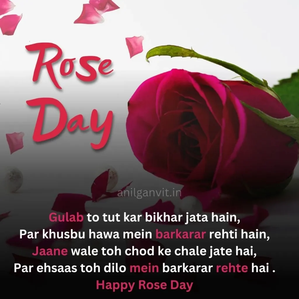 Rose day Shayari in English