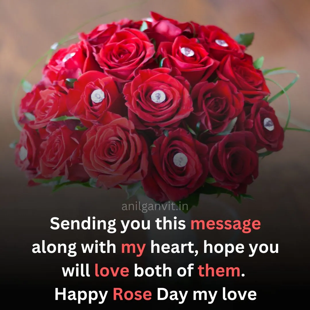 Happy Rose Day Wishes in English 