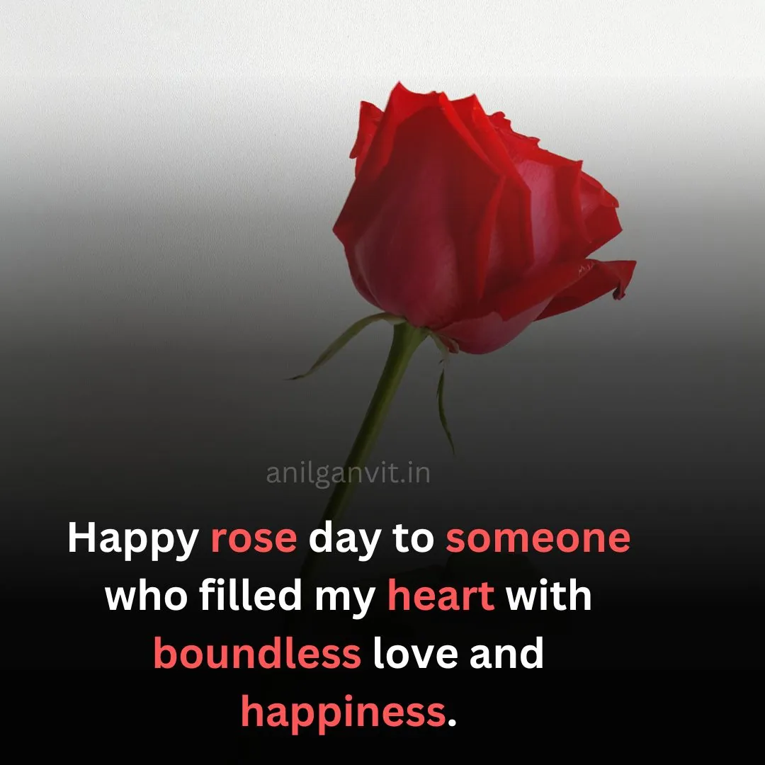 Beautiful 61+ Happy Rose Day Wishes in English 2024 rose day wishes in english