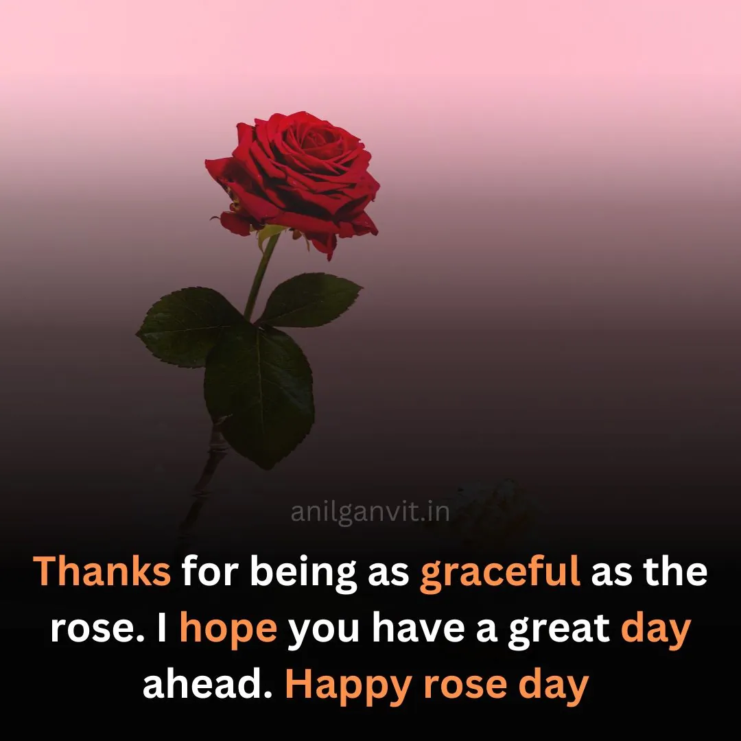 Rose Day Wishes in English