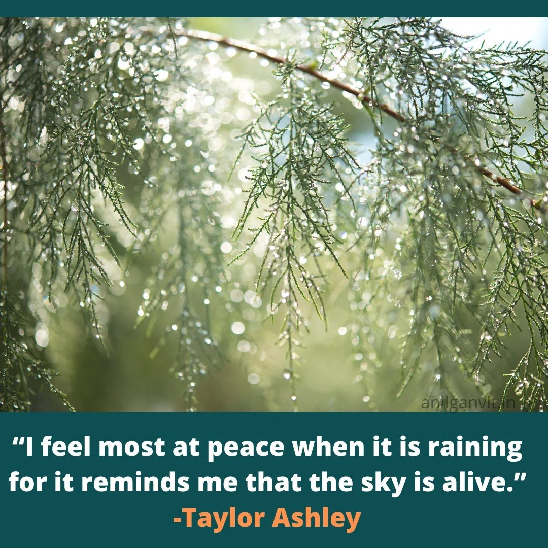 rainy day Quotes That Bring Joy and Happiness